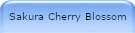 Sakura Cherry Blossom